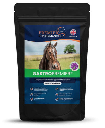 GastroPremier 