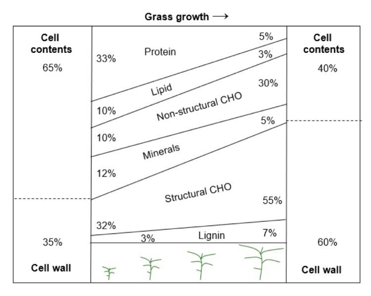 fig2